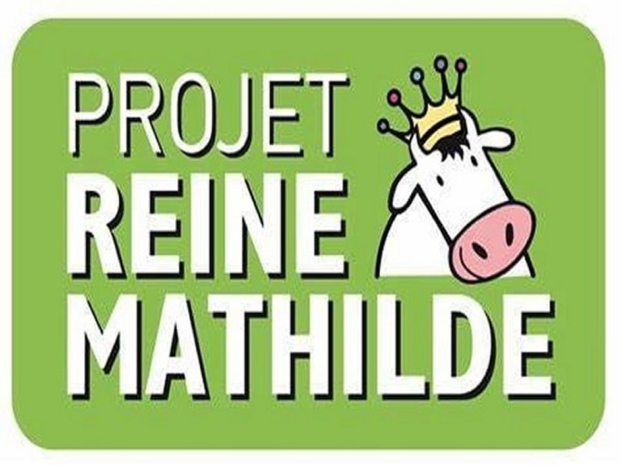 Projet,reine Mathilde